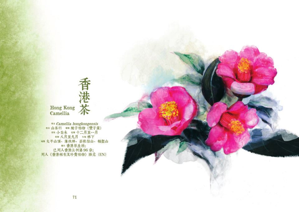 【香港茶 · 茶花陶藝工作坊】
