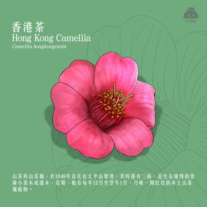 【香港茶 · 茶花陶藝工作坊】